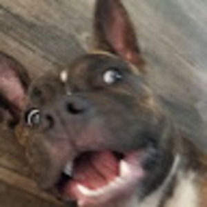 Meet your Posher, Wesley